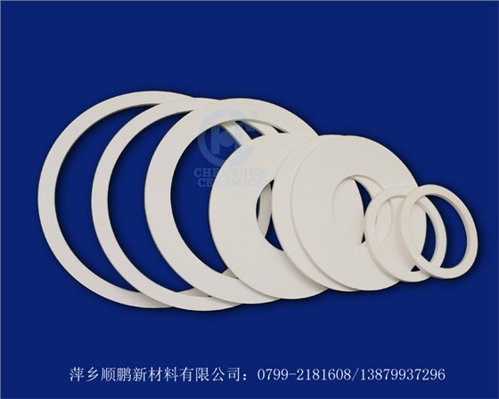 耐磨瓷環(huán)