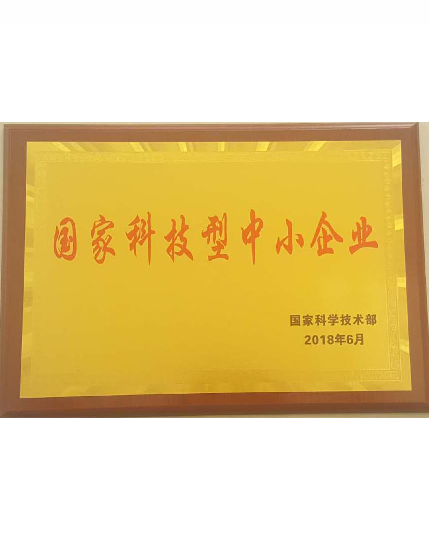 國家科技型中小企業